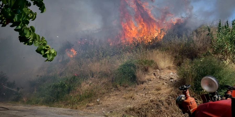 Πυρκαγιά σε χαμηλή βλάστηση στο Μαρκόπουλο Μεσογαίας